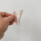 Shell Claw Clip